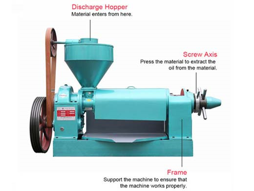 machine de production d'huile de tournesol en Hollande au Togo