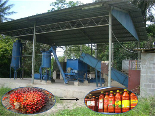 Coût du projet de mini-usine automatique d'huile de palme au Congo
