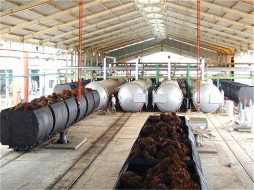 machine à huile de palme moulin d'extraction d'huile de palme au Senegal