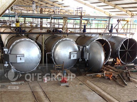 Machine de pressage d'huile de palme au Tchad