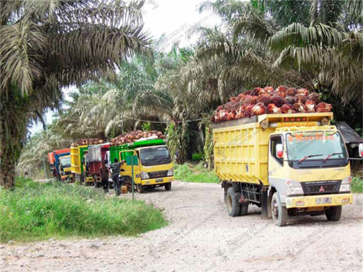 Expulseur de palmiste peluang usaha au togo