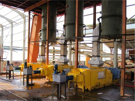 Usine d'extraction d'huile de palme chaude et froide à vis en Algérie