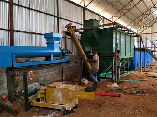 Usine de traitement de l'huile Usine de presse froid d'huile de palme Bamako