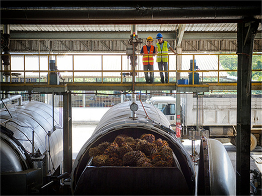 avec une usine d'huile de palme rbd haute production d'huile au cameroun