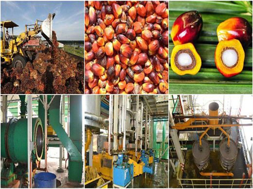 Profil d'un projet de production d'huile de palme au bénin