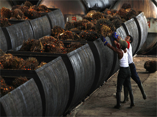 dernier directeur d'une usine d'huile de palme à niamey