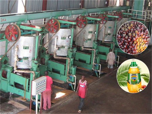 Presse à huile de palme de petite capacité 6yl 30 au Tchad