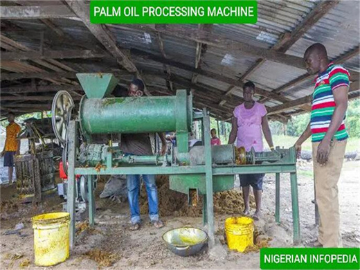 Machine à huile de palme de projet clé en main de 10 à 1000 tpj à Dakar