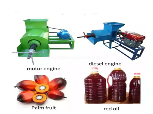 Usine de ligne de Presse à huile de palme DPT au Niger